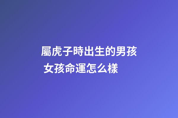 屬虎子時出生的男孩 女孩命運怎么樣